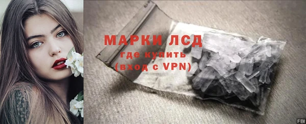 гидра Карпинск